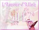 hobb allah